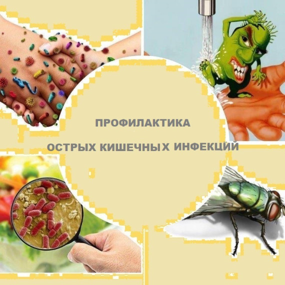 19 мая — Всемирный день борьбы с воспалительными заболеваниями кишечника.
